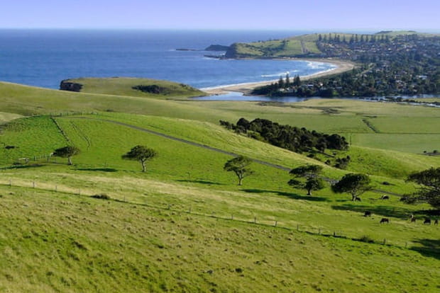 La côte Nord de l'Australie et ses verts pâturages