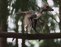 Les mondes perdus : Le mystère des dragons à plumes