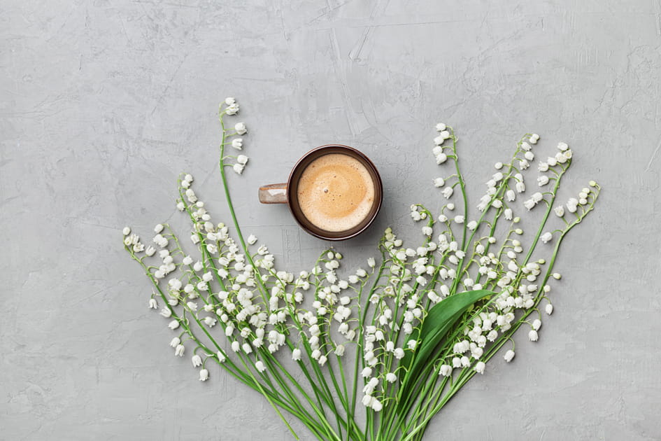 Les plus jolies photos de muguet &agrave; envoyer &agrave; vos proches pour le 1er mai