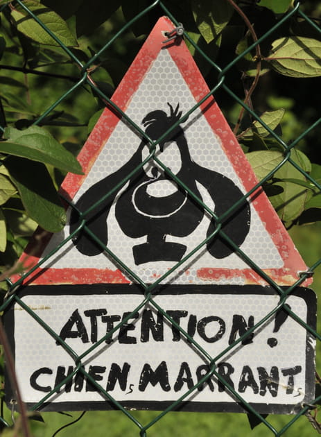 Attention &agrave; Bill !