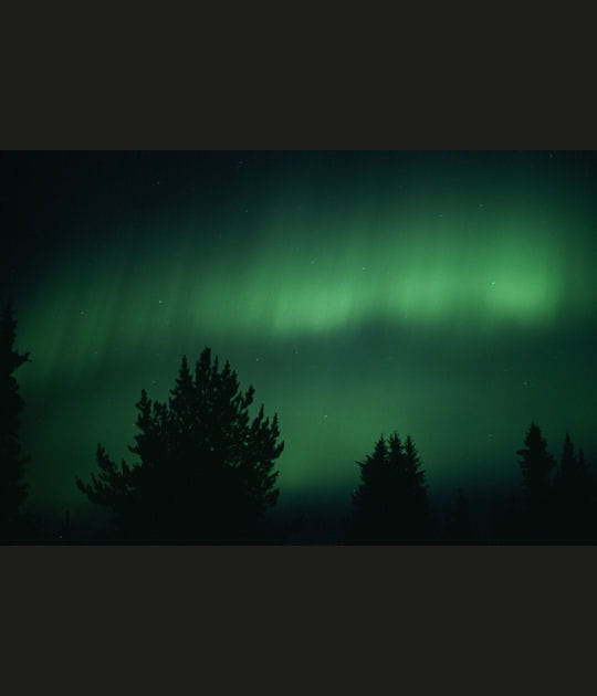 Exposition&nbsp;: Laponie une ann&eacute;e en arctique