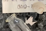 Un enfant trouve un message dans une bouteille, sa mère envoie un SMS au numéro indiqué et n'en revient pas