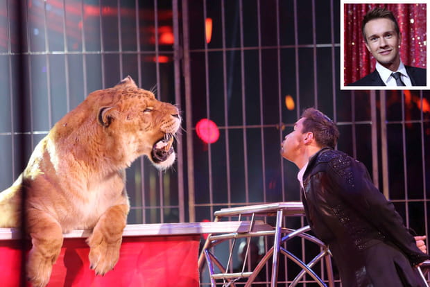 "Avec le ligre, on pourrait se croire dans le monde de Narnia"
