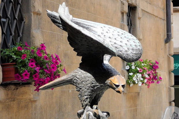 L'aigle et les pétunias