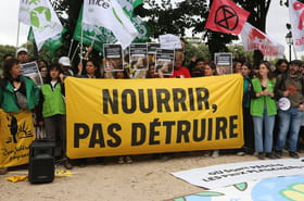 Loi Duplomb&nbsp;: que contient le texte&nbsp;? Peut-elle &ecirc;tre promulgu&eacute;e&nbsp;?