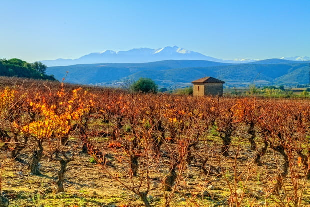 Les Corbières catalanes, flambloyantes au pied du Canigou