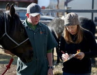 Michelle ou la vie sauvage : Quand les chevaux volent