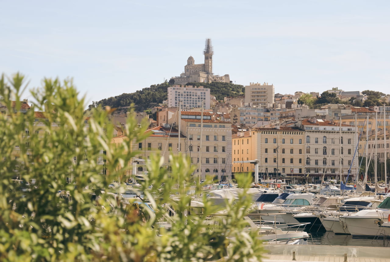 Municipales 2026 à Marseille : des résultats de sondages ultra serrés et des surprises