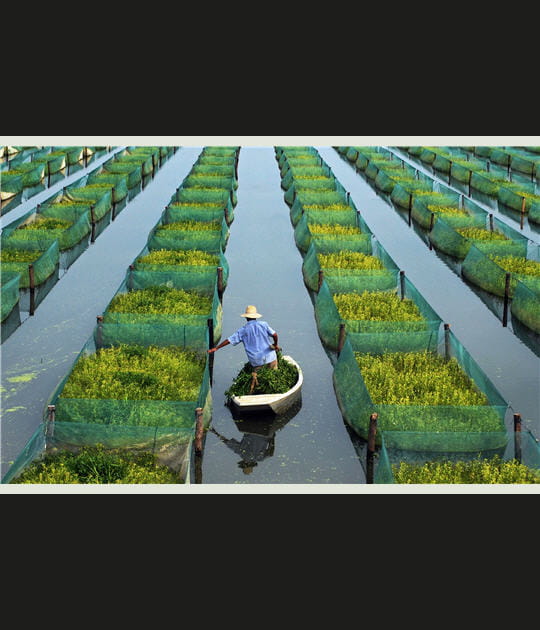 Festival &quot;Photo peuples &amp; nature&quot; - 5&egrave;me &eacute;dition