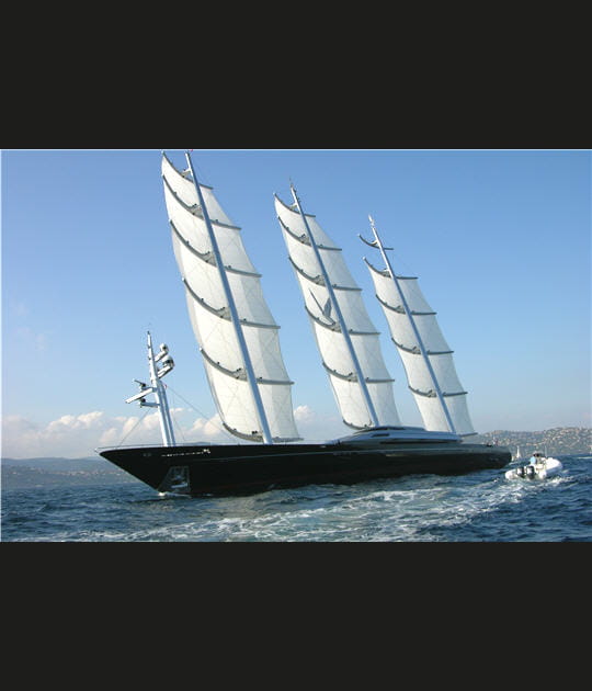 Le Maltese Falcon