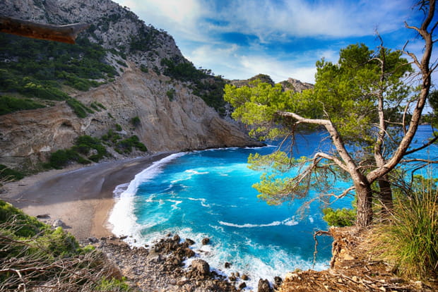 Platja des Coll Baix, le trésor turquoise de Majorque