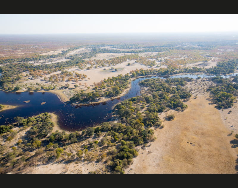 L'Okavango : un labyrinthe de lagons