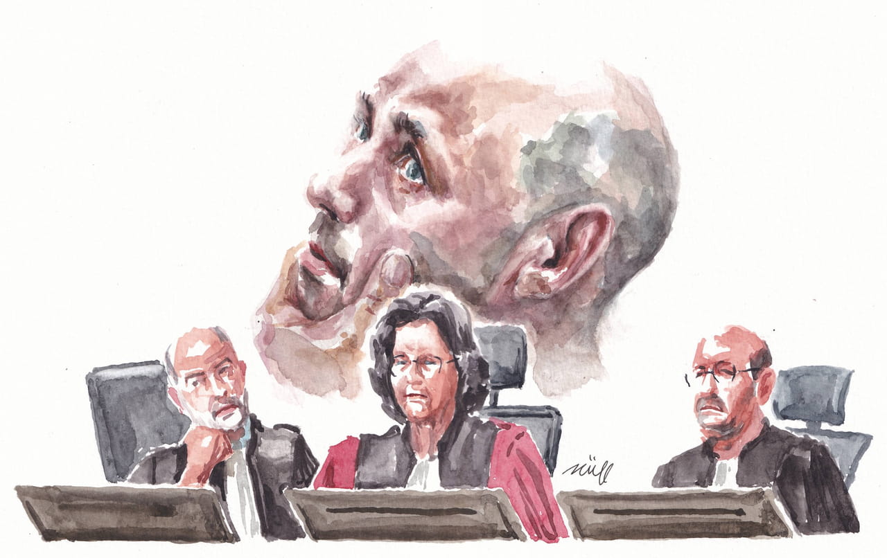 Procès Jubillar : une scène de violence sur le fils de Cédric Jubillar saisit la salle d'audience