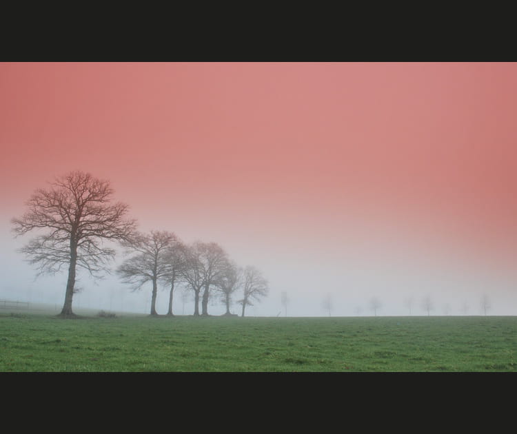 L'image de janvier 2014