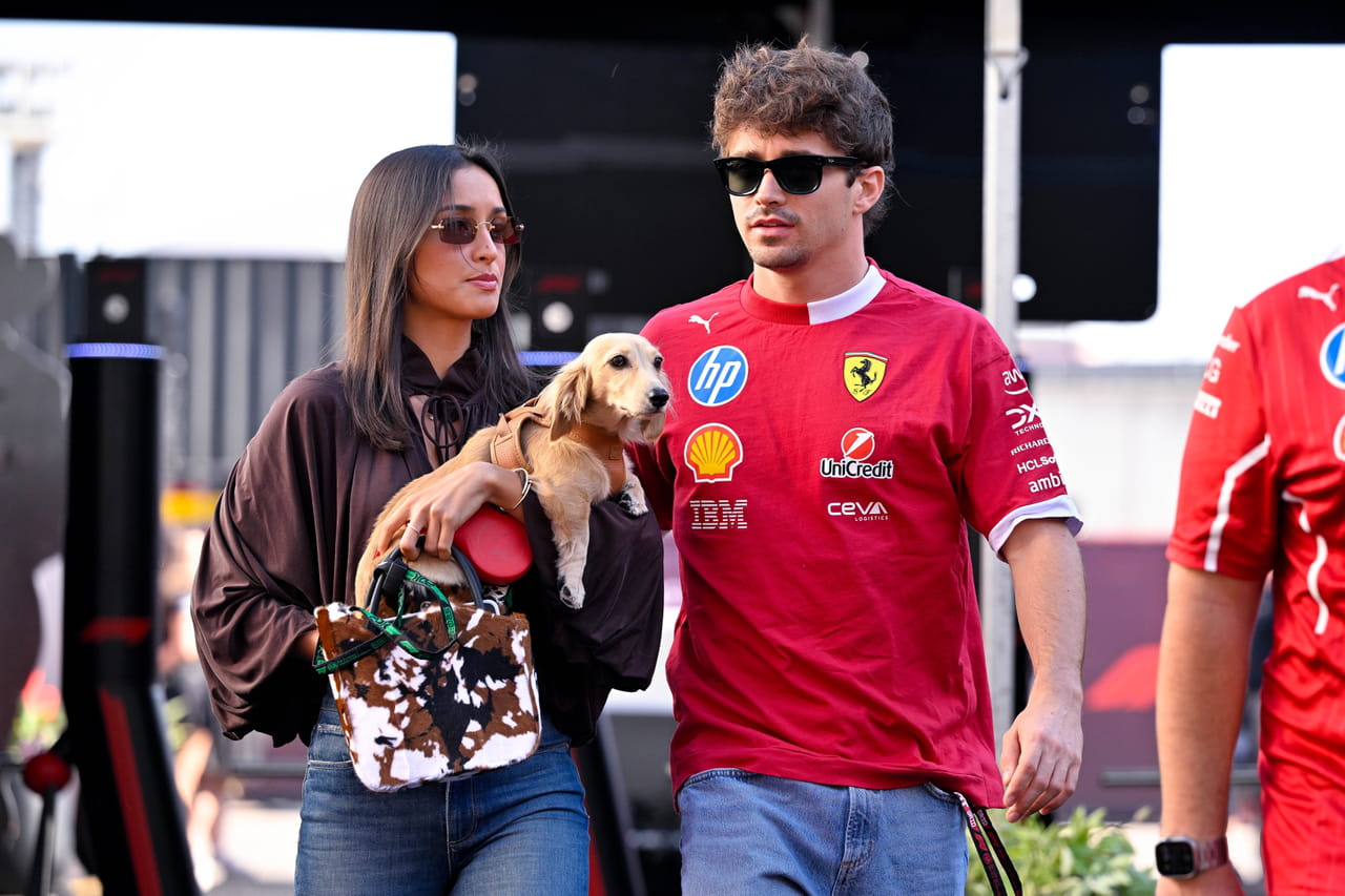 "Papa veut t'épouser" : la demande en mariage de Charles Leclerc à Alexandra Saint Mleux avec l'aide de leur chien Léo