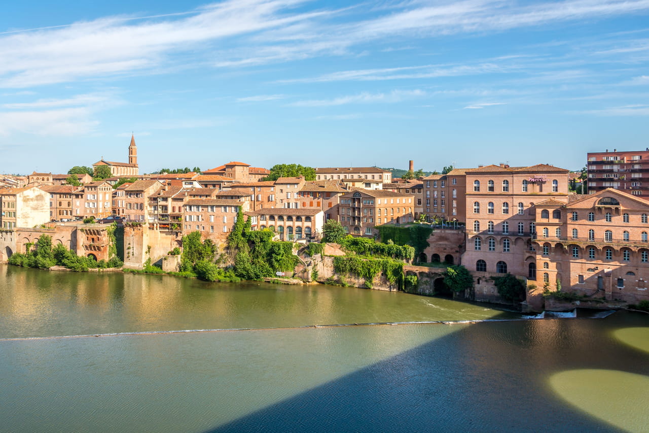 Occitanie. Dans cette ville de 50 000 habitants, un animal est traqué pour être tué, il peut faire plus de 100 kilos