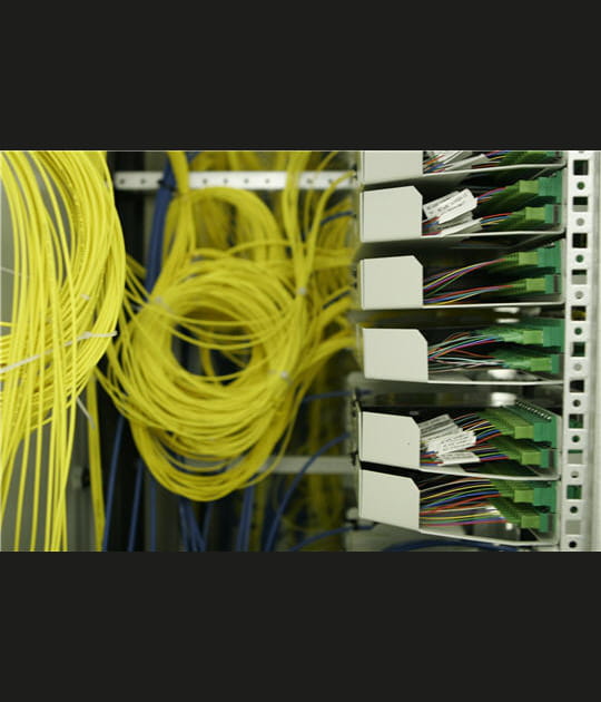 Une fibre haute en couleur