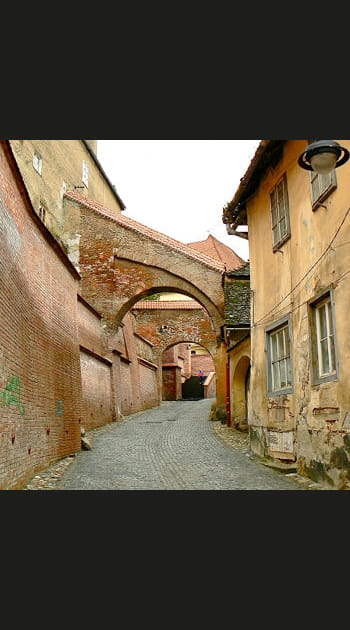 La Roumanie et ses musiciens de villages