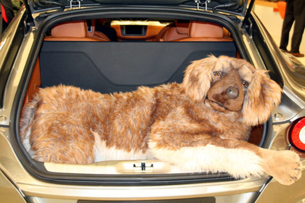 Salon de Genève 2011 : les insolites