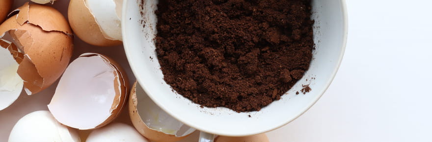 Ces aliments surprenants sont efficaces pour l'entretien de la maison et du jardin