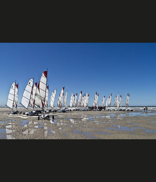 Chars &agrave; voile
