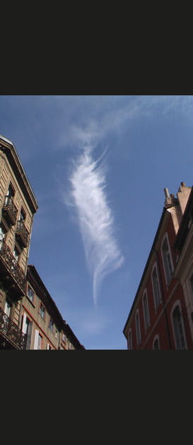 Une autre plume&nbsp;?