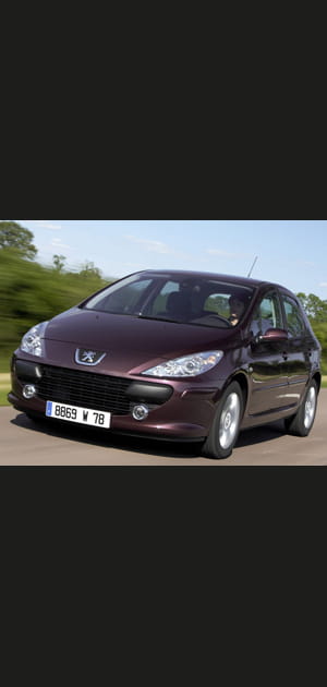 Num&eacute;ro 33&nbsp;ex aequo&nbsp;: Peugeot 307