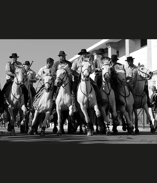 Les manadiers
