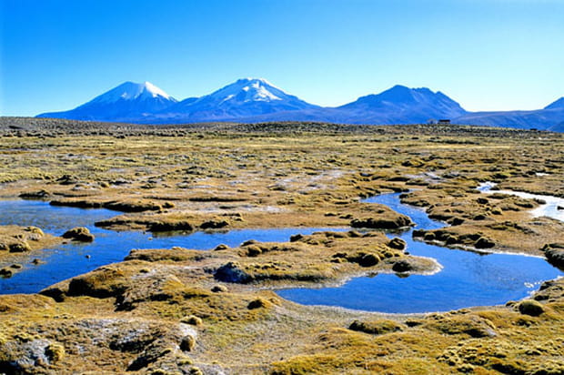 Le parc national de Sajama