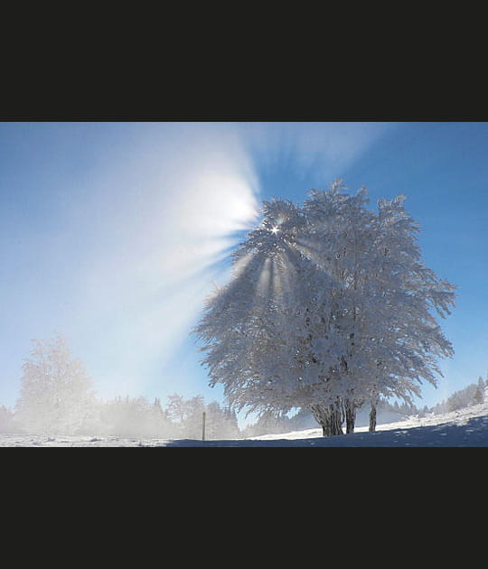 Lumi&egrave;re d'hiver