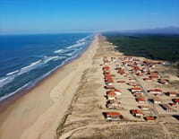Sale temps pour la planète : Les Landes de Gascogne, le vent l'emportera
