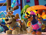 Pupstruction, les chiots en action