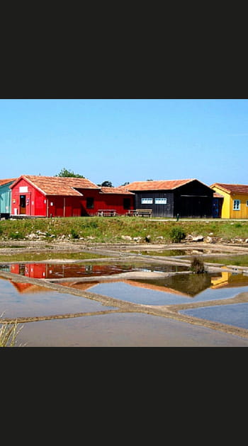 Repos sur l'&icirc;le d'Ol&eacute;ron