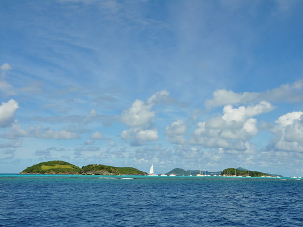 Un goût de paradis ?