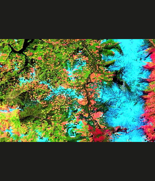 Les for&ecirc;ts d'Oregon