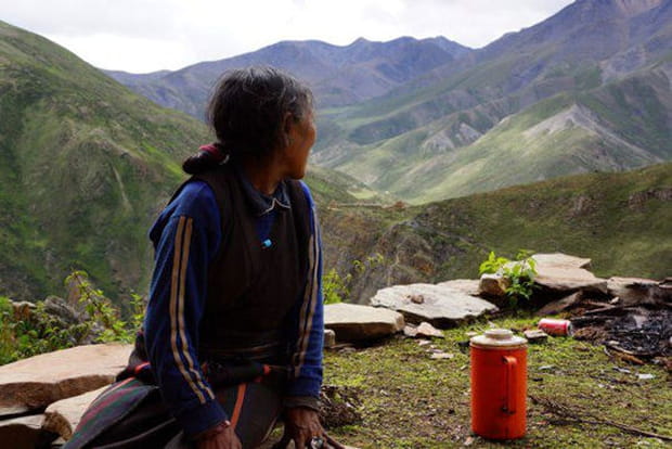 L'épouse du lama