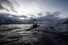 Dans les eaux glac&eacute;es de Norv&egrave;ge, l'apn&eacute;iste Gu&eacute;rin-Bo&euml;ri danse avec les orques