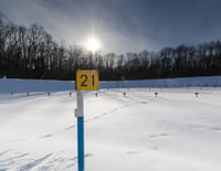 Biathlon : Coupe du monde - Mass Start 15 km messieurs