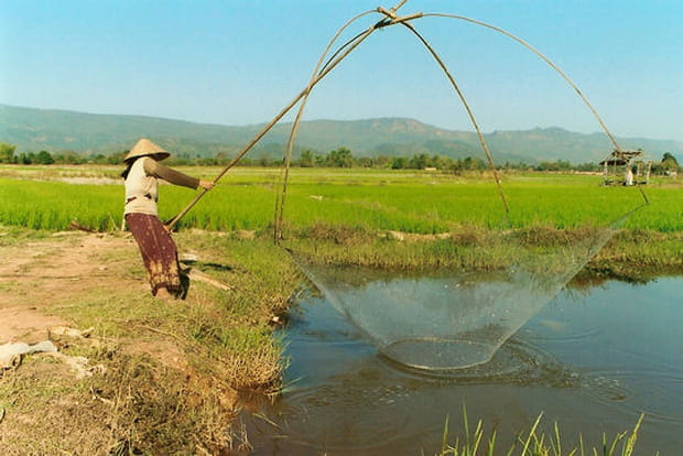 Laos : retour aux sources