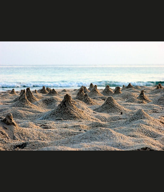 L'archipel de Socotra