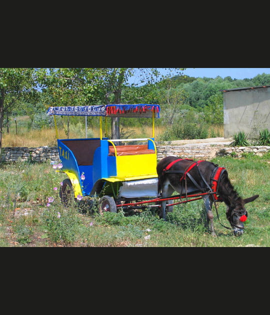 Taxi d'Alb&eacute;na