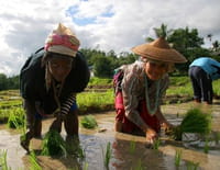 Ô bout de l'inconnu : En Thaïlande