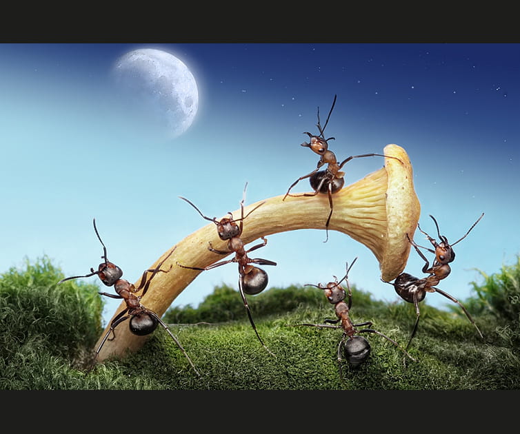 Le premier lancement vers la Lune