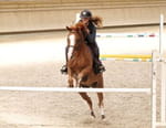 Au galop !