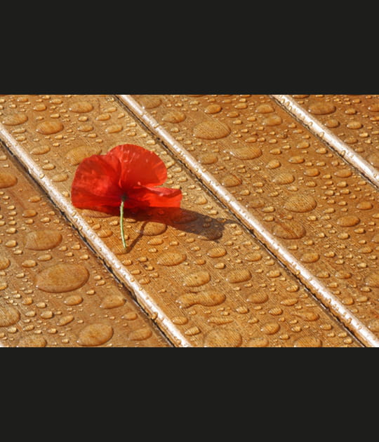 Apr&egrave;s la pluie