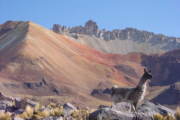 L'Altiplano bolivien