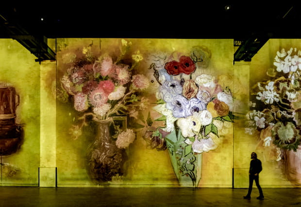 Pots de fleurs colorés
