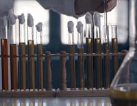 Pasteur et Koch : Un duel de géants dans le monde des microbes
