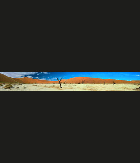 Deadvlei, Namibie