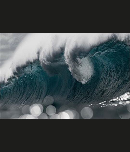 A la recherche de la vague parfaite